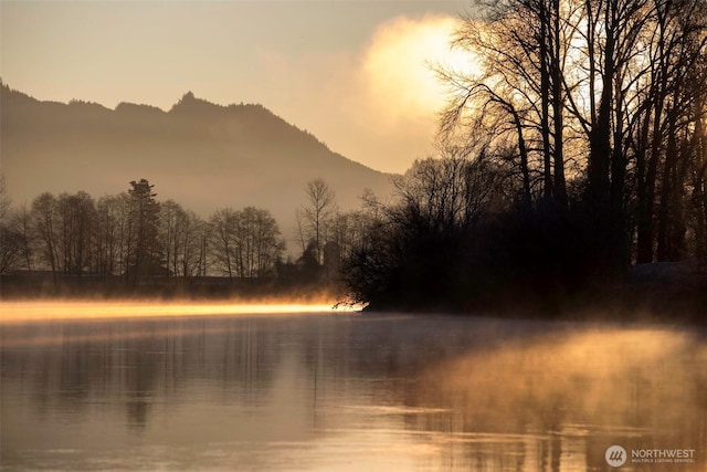 19719 Dry Slough Rd, Mount Vernon, WA 98273 - water view with mountains