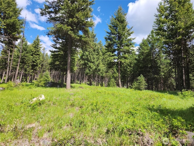363 Sheridan Rd, Republic, WA 99166 - photo 40