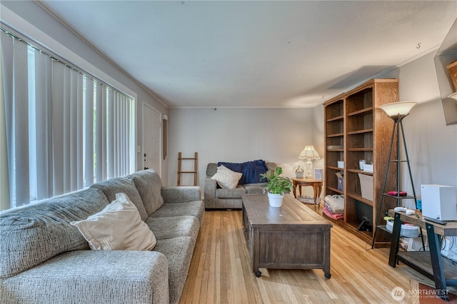 6501 Ardmore Dr SW, Lakewood, WA 98499 - photo 3