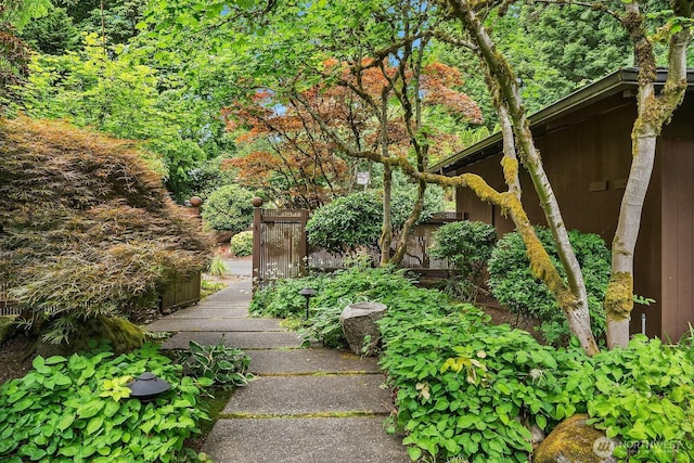 8509 NE 27th Pl, Clyde Hill, WA 98004 - view of yard