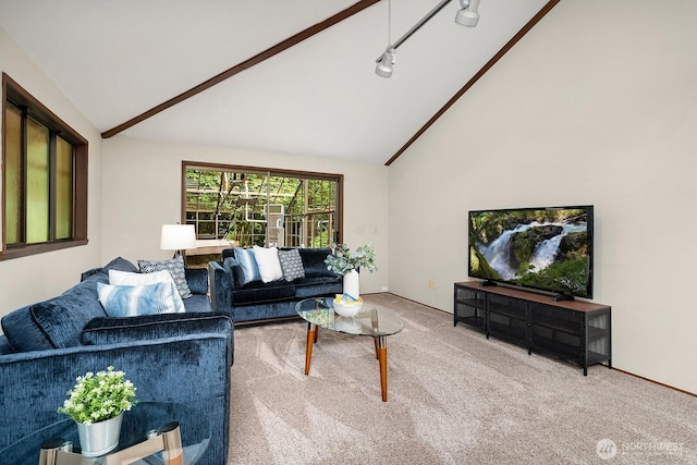 8509 NE 27th Pl, Clyde Hill, WA 98004 - carpeted living area featuring high vaulted ceiling
