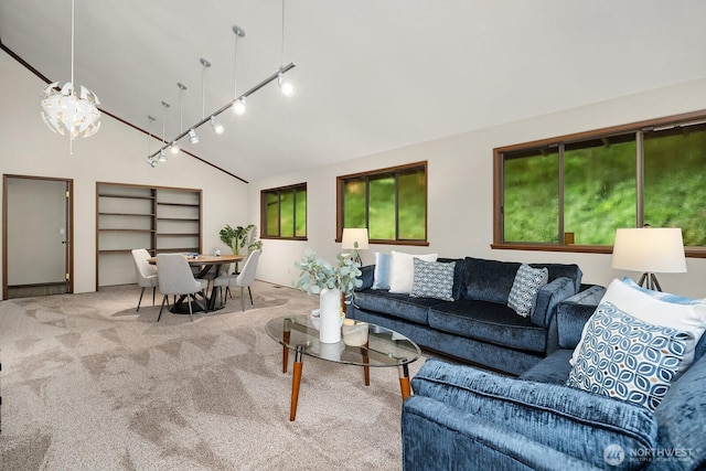 8509 NE 27th Pl, Clyde Hill, WA 98004 - carpeted living area with high vaulted ceiling and track lighting