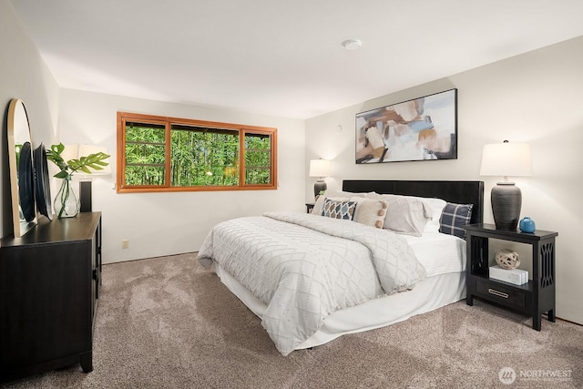 8509 NE 27th Pl, Clyde Hill, WA 98004 - bedroom with light carpet