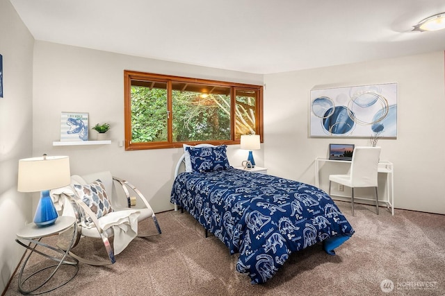 8509 NE 27th Pl, Clyde Hill, WA 98004 - view of carpeted bedroom