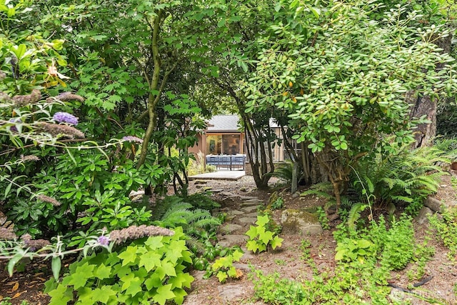 8509 NE 27th Pl, Clyde Hill, WA 98004 - view of yard