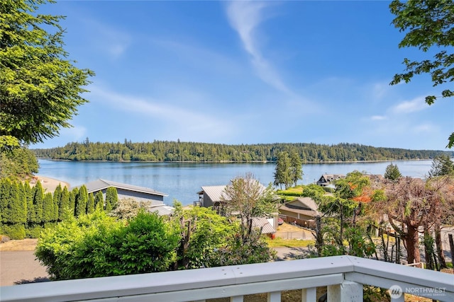 70 E Rustle Way, Grapeview, WA 98546 - water view with a heavily wooded area