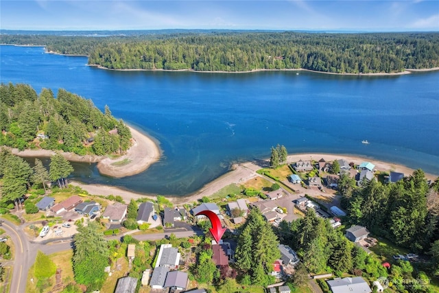 70 E Rustle Way, Grapeview, WA 98546 - aerial overview of property's location with a heavily wooded area, a nearby body of water, and nearby suburban area