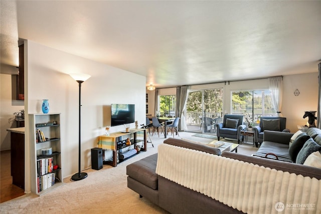 70 E Rustle Way, Grapeview, WA 98546 - living area featuring healthy amount of natural light and light colored carpet