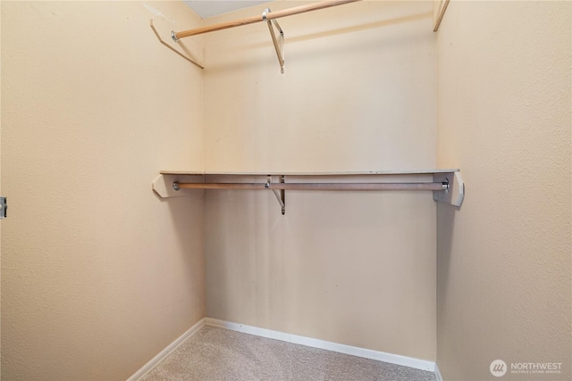 7453 Newcastle Golf Club Rd Unit B103, Newcastle, WA 98059 - walk in closet with carpet
