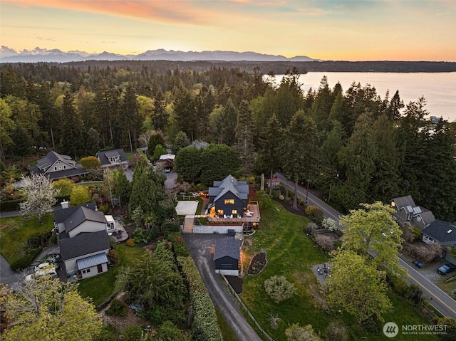 10301 NE Lafayette Ave, Bainbridge Island, WA 98110 - aerial view at dusk of a view of trees and a mountain view
