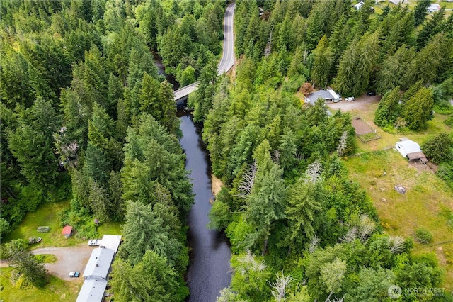 12833 Squaw Wood Ln SE, Rainier, WA 98576 - photo 36