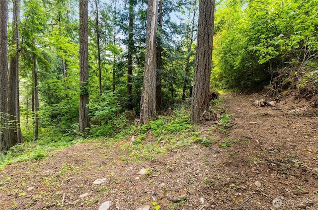 12833 Squaw Wood Ln SE, Rainier, WA 98576 - photo 38