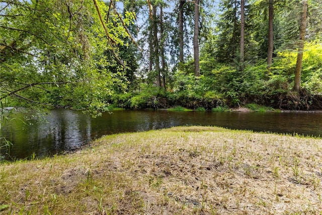 12833 Squaw Wood Ln SE, Rainier, WA 98576 - photo 39
