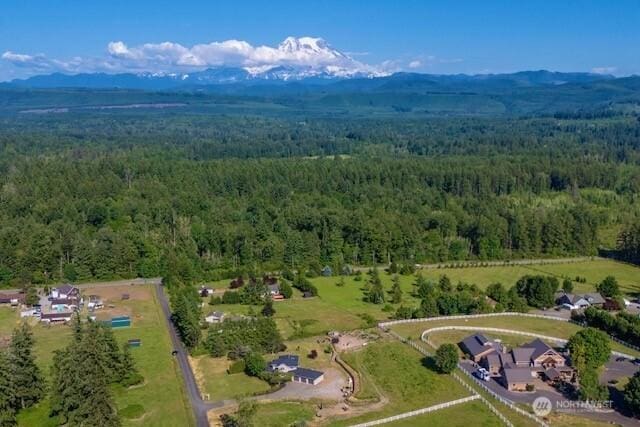 9906 328th St E, Graham, WA 98338 - drone / aerial view of a heavily wooded area