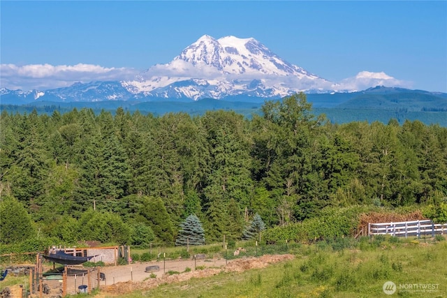 9906 328th St E, Graham, WA 98338 - view of mountain backdrop with a heavily wooded area
