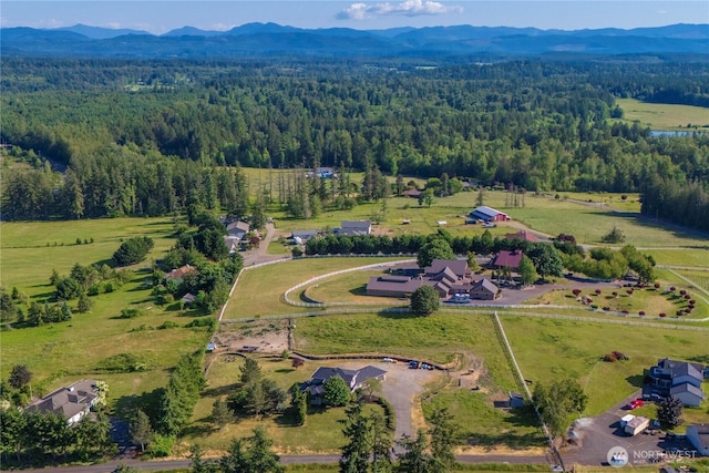 9906 328th St E, Graham, WA 98338 - aerial view of property's location with a forest and mountains
