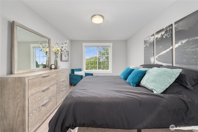 9906 328th St E, Graham, WA 98338 - view of bedroom