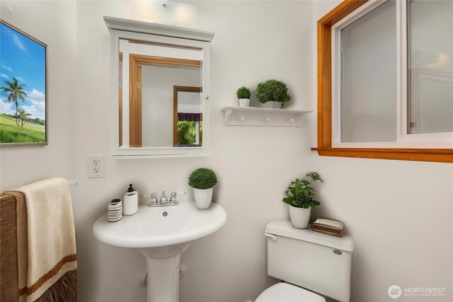 10210 NE 23rd St, Bellevue, WA 98004 - bathroom featuring toilet