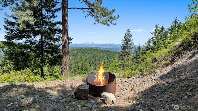 1208 Rodeo Rd, Cle Elum, WA 98922