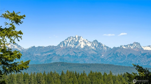 1208 Rodeo Rd, Cle Elum, WA 98922