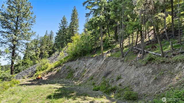 1208 Rodeo Rd, Cle Elum, WA 98922