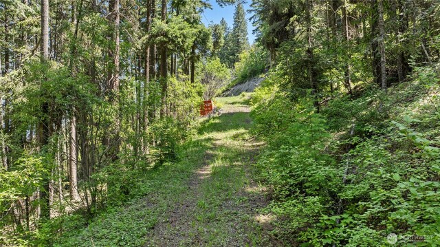 1208 Rodeo Rd, Cle Elum, WA 98922