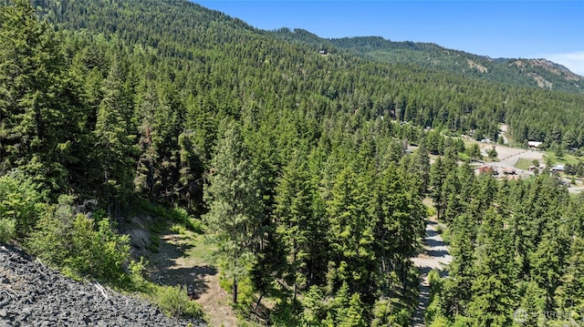 1208 Rodeo Rd, Cle Elum, WA 98922