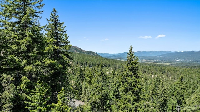 1208 Rodeo Rd, Cle Elum, WA 98922