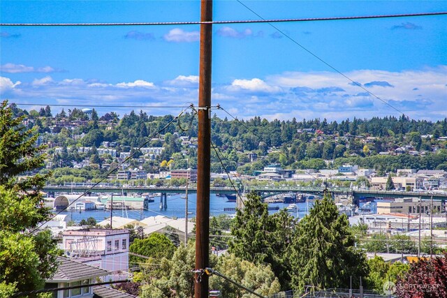 4618 3rd Ave NW, Seattle, WA 98107 - water view with a notable bridge