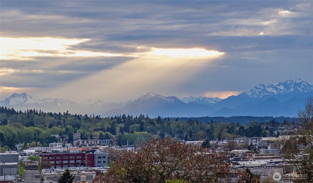 4618 3rd Ave NW, Seattle, WA 98107 - view of mountain background with a forest