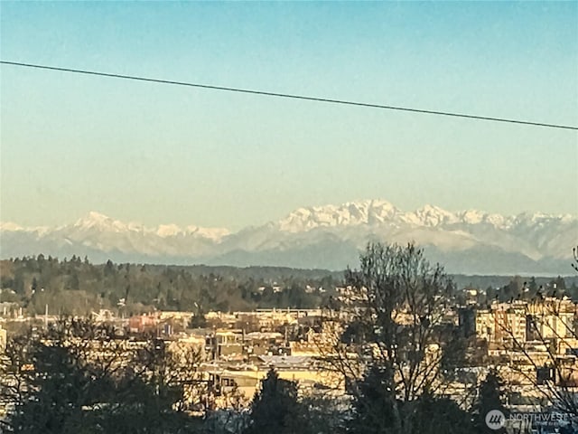 4618 3rd Ave NW, Seattle, WA 98107 - mountain view