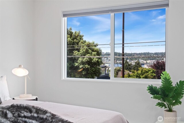 4618 3rd Ave NW, Seattle, WA 98107 - view of bedroom