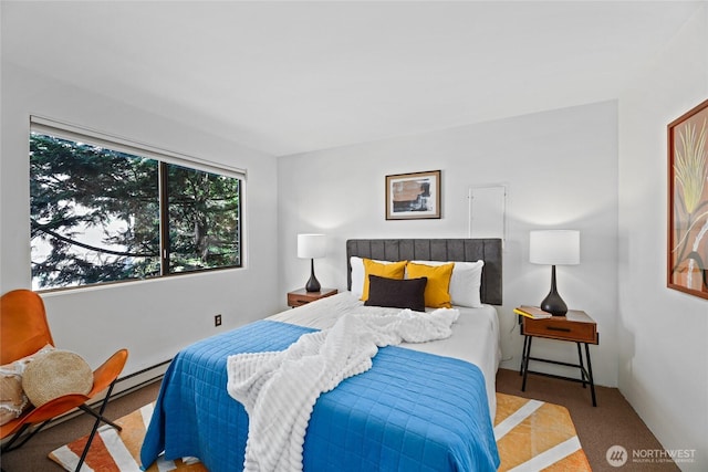 4618 3rd Ave NW, Seattle, WA 98107 - view of carpeted bedroom