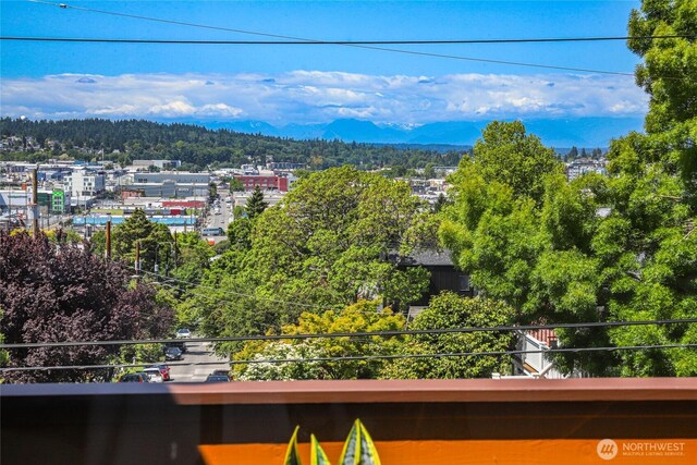 4618 3rd Ave NW, Seattle, WA 98107 - mountain view