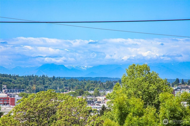 4618 3rd Ave NW, Seattle, WA 98107 - view of mountain backdrop featuring a forest