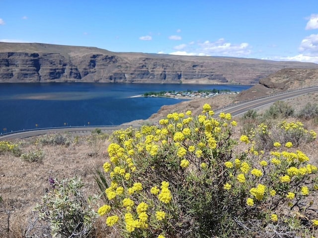 1071 S Section Pl, Quincy, WA 98848 - water view featuring mountains