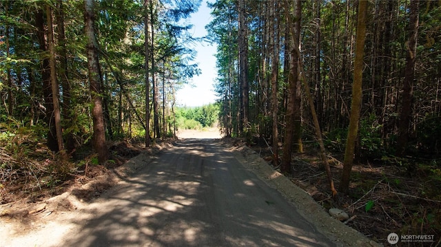20 E Cascade Vw, Allyn, WA 98524 - photo 3