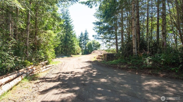 20 E Cascade Vw, Allyn, WA 98524 - photo 6