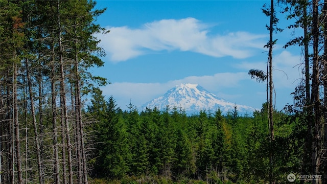 20 E Cascade Vw, Allyn, WA 98524 - photo 2