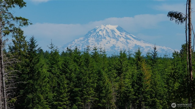 20 E Cascade Vw, Allyn, WA 98524 - photo 1