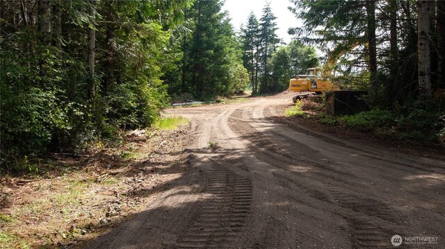 20 E Cascade Vw, Allyn, WA 98524 - photo 9
