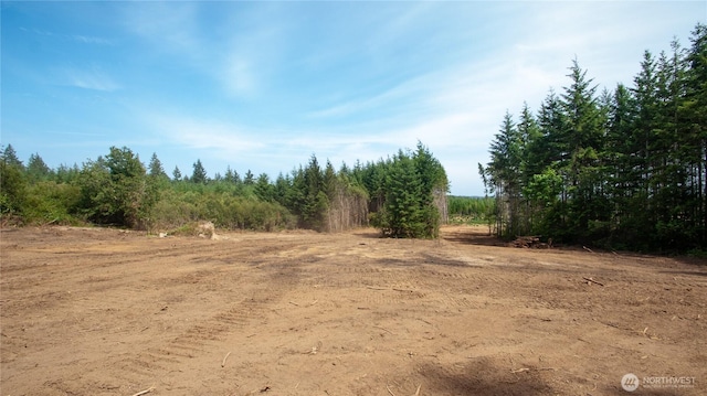 20 E Cascade Vw, Allyn, WA 98524 - photo 11