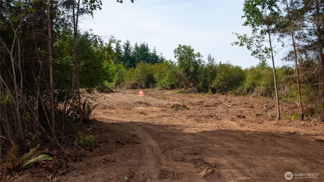 20 E Cascade Vw, Allyn, WA 98524 - photo 15