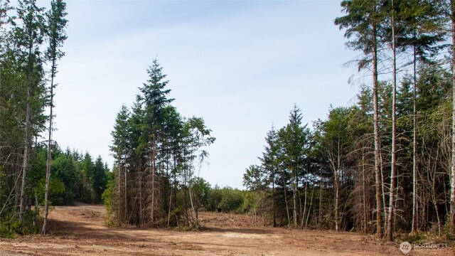 20 E Cascade Vw, Allyn, WA 98524 - photo 16