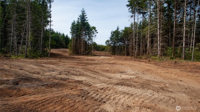 20 E Cascade Vw, Allyn, WA 98524 - photo 17