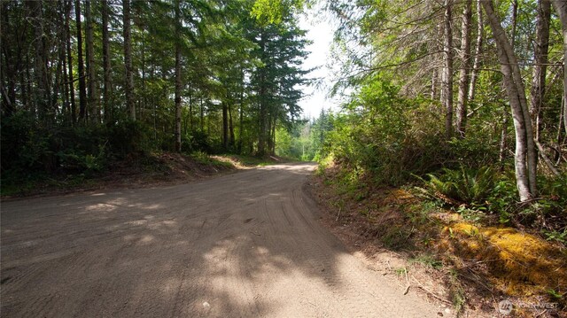 20 E Cascade Vw, Allyn, WA 98524 - photo 5