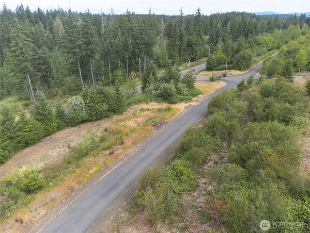20 E Cascade Vw, Allyn, WA 98524 - photo 18