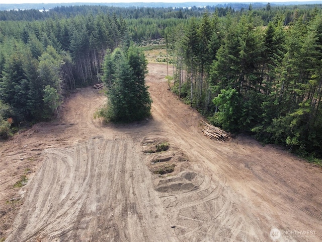 20 E Cascade Vw, Allyn, WA 98524 - photo 21