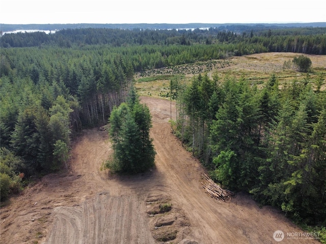 20 E Cascade Vw, Allyn, WA 98524 - photo 22