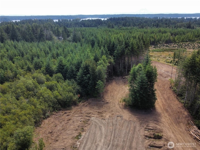 20 E Cascade Vw, Allyn, WA 98524 - photo 23